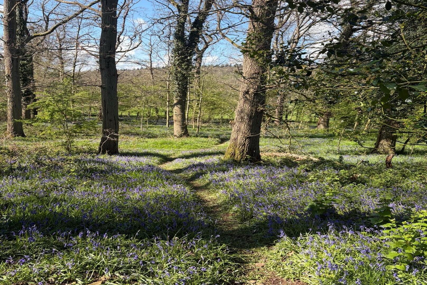 Button Oak, Kinlet, Bewdley
